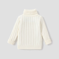 Toddler Girl/Boy Turtleneck Ribbed Knit Sweater - Yellow, 18-24 Months